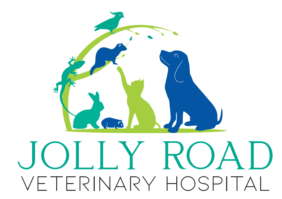Jolly Road Veterinary Hospital